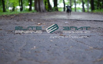 Фото компании  Элит-финанс 14