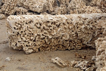 Фото компании ООО Камень из Крыма 8