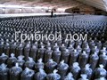 Фото компании ИП Грибной дом 1