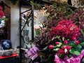 Фото компании ИП Jardin Botanique 6