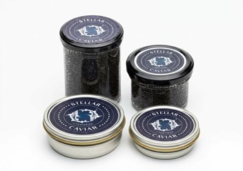 Фото компании  Stellar Caviar 1
