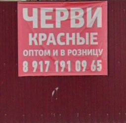 Фото компании  Черви 1