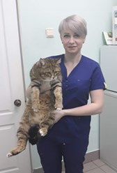 Фото компании ООО Кабинет ветеринарной медицины 43