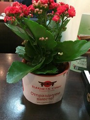 Фото компании  Планета Суши 16