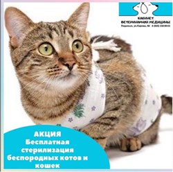 Фото компании ООО Кабинет ветеринарной медицины 49