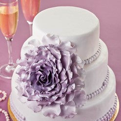 Фото компании  Mamma`s Big House, кафе 53