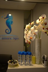 Фото компании  SeaHorse SPA 4