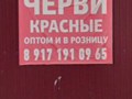 Фото компании  Черви 1