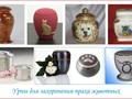 Фото компании  ВетДом 5