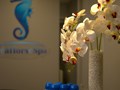 Фото компании  SeaHorse SPA 4