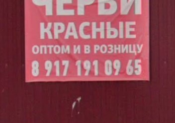 Фото компании  Черви 1