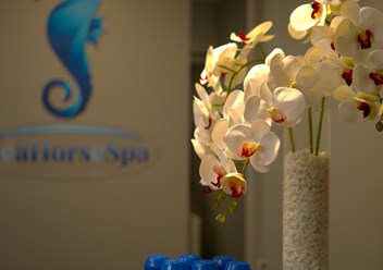 Фото компании  SeaHorse SPA 4