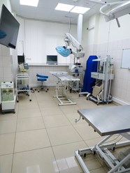 Фото компании  Ветеринарная клиника «Веда» 4