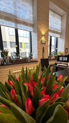 Фото компании  Iris Travel Group 1