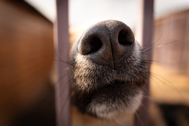 Фото компании  РОО «Экология человека» 19