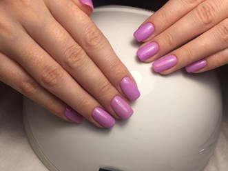 Фото компании  SASHA 5