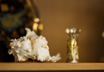 Фото компании ООО Туристическое агентство «Флай Тур» 22