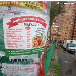 Фото компании ИП BTL Агентство Акула 66