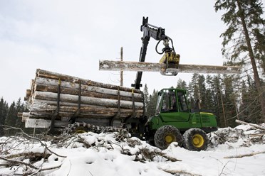 Фото компании ООО «ГосЛесФонд» 7