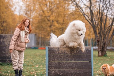 Фото компании  Ново-Переделкино 4
