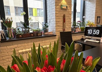 Фото компании  Iris Travel Group 1