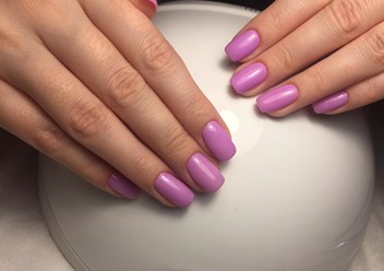 Фото компании  SASHA 5