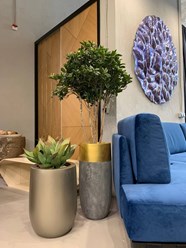 Фото компании ООО ОРНИ 1