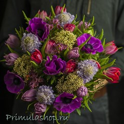 Фото компании  "Мои любимые цветы" 6
