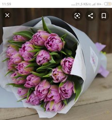 Фото компании  Тюльпаны выращены в Верxoважье 8