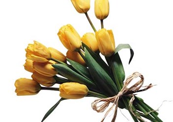 Фото компании  ЦВЕТЫ 6