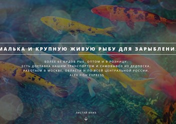 Фото компании ООО Alex Fish Express 1