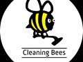Фото компании  Пчёлки Cleaning Bees 1