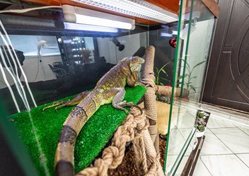 Фото компании  Beauty_Sisters 4