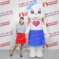 Фото компании ИП Надувные Костюмы ком 27