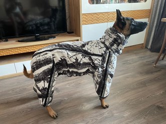 Фото компании Самозанятый Пес в пальто 54