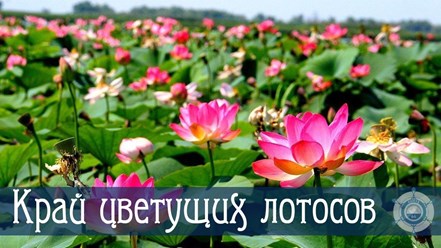 Фото компании ИП "Каюта 64" 5
