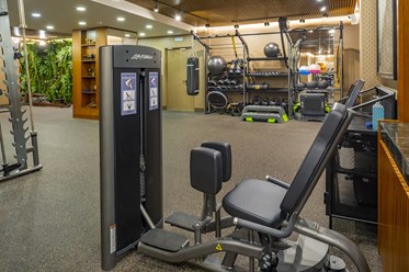 Фото компании  Грузинка Спорт 4