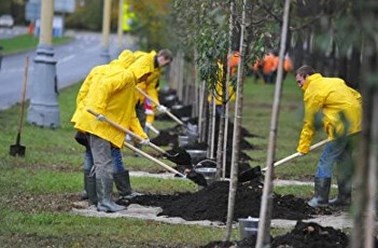 Фото компании ООО М стандарт юг 2