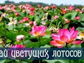Фото компании ИП "Каюта 64" 5