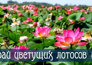 Фото компании ИП "Каюта 64" 5