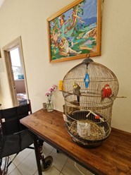 Фото компании Дом престарелых Уют 11