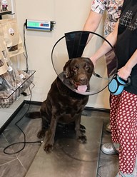 Фото компании ООО Планета 36