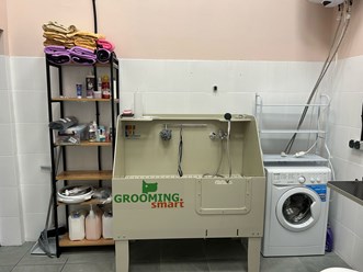 Фото компании ООО Марио Груминг 28