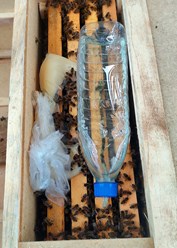 Фото компании  Мир Пасеки 5