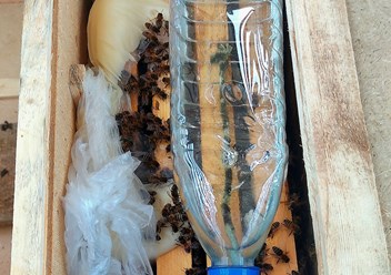 Фото компании  Мир Пасеки 5