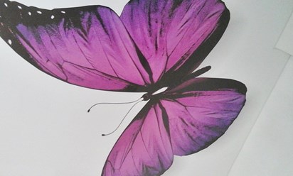 Фото компании ООО Марио-1 1