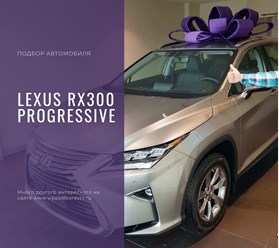 Подбор автомобиля нашему клиенту Lexus RX 300