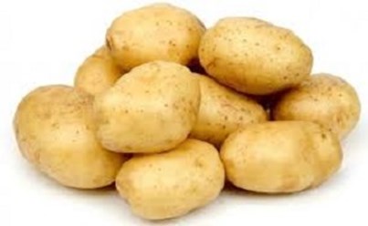 Фото компании ООО "КЛОН" – производство и продажа семенного картофеля 1