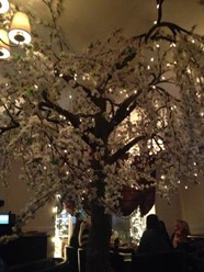 Фото компании  Токио, сеть японских кафе 2