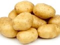 Фото компании ООО "КЛОН" – производство и продажа семенного картофеля 1